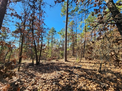 100 Acres – Near National Forest & Poteau River - image 9