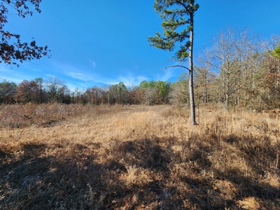 100 Acres – Near National Forest & Poteau River - image 6