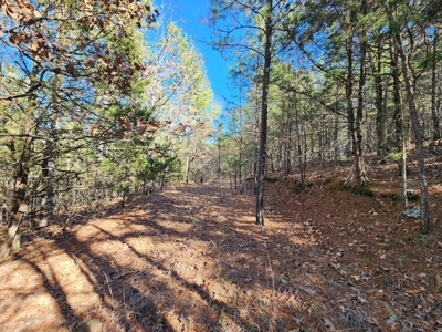 100 Acres – Near National Forest & Poteau River - image 20