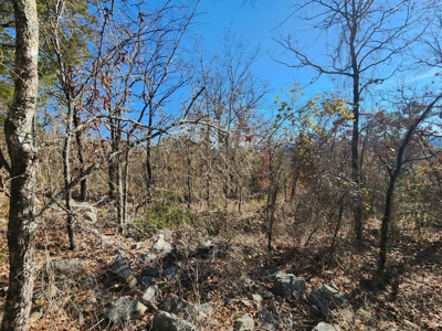100 Acres – Near National Forest & Poteau River - image 18