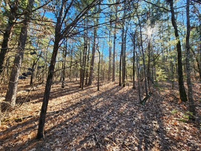 100 Acres – Near National Forest & Poteau River - image 17