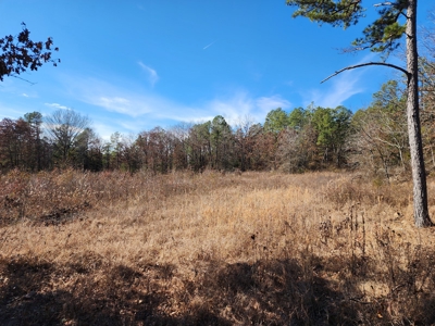 100 Acres – Near National Forest & Poteau River - image 5