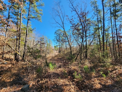 100 Acres – Near National Forest & Poteau River - image 7
