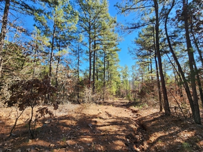 100 Acres – Near National Forest & Poteau River - image 8