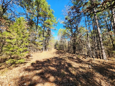 100 Acres – Near National Forest & Poteau River - image 13