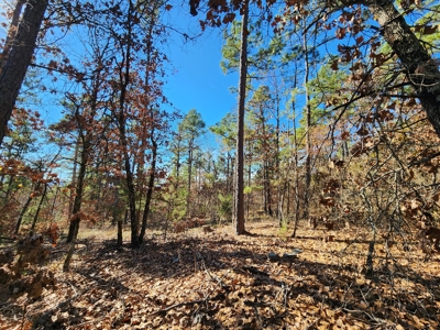 100 Acres – Near National Forest & Poteau River - image 10