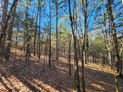 100 Acres – Near National Forest & Poteau River - image 15