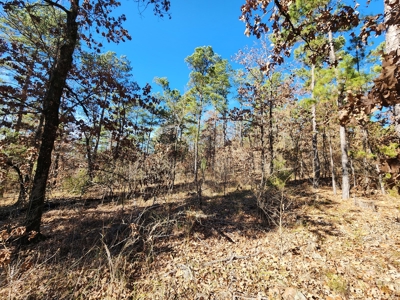 100 Acres – Near National Forest & Poteau River - image 12
