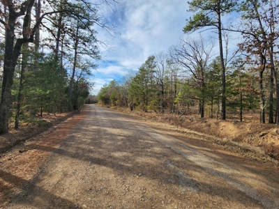 100 Acres – Near National Forest & Poteau River - image 1