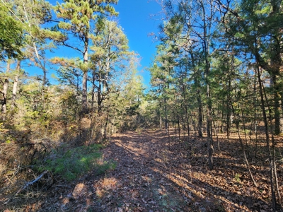 100 Acres – Near National Forest & Poteau River - image 16