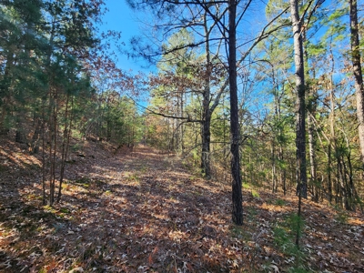 100 Acres – Near National Forest & Poteau River - image 19
