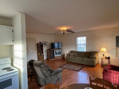 Home by the Spring River For Sale in Hardy AR - image 6