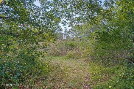 Country home for sale 168 Line St, Granville TN 38564 - image 44