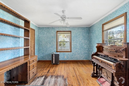 Country home for sale 168 Line St, Granville TN 38564 - image 13