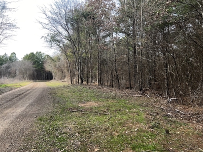 Small Acreage for Sale Troup TX Smith County Whitehouse ISD - image 1
