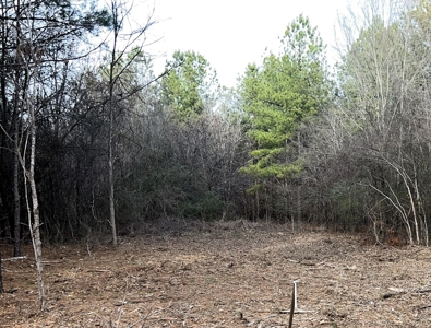 Small Acreage for Sale Troup TX Smith County Whitehouse ISD - image 2