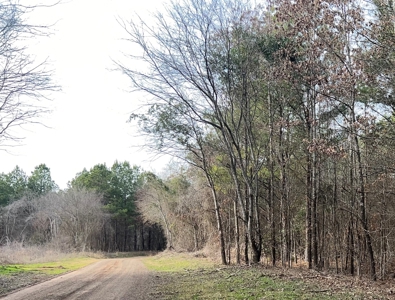 Small Acreage for Sale Troup TX Smith County Whitehouse ISD - image 6