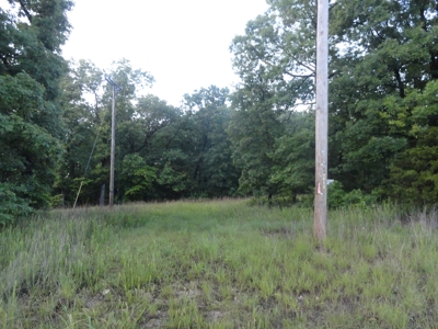 46.85 Acreage For Sale In Camden County, Missouri - image 31