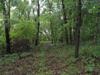 46.85 Acreage For Sale In Camden County, Missouri - image 12