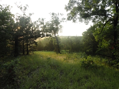 46.85 Acreage For Sale In Camden County, Missouri - image 24