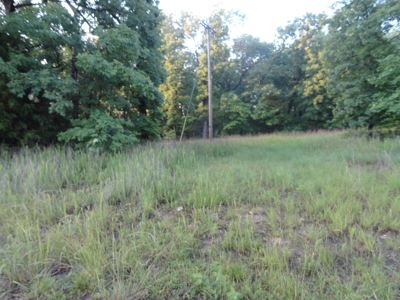 46.85 Acreage For Sale In Camden County, Missouri - image 4
