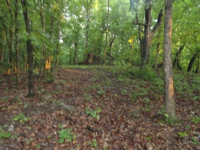 46.85 Acreage For Sale In Camden County, Missouri - image 27