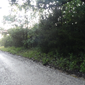 46.85 Acreage For Sale In Camden County, Missouri - image 37