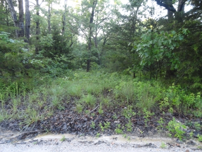 46.85 Acreage For Sale In Camden County, Missouri - image 2
