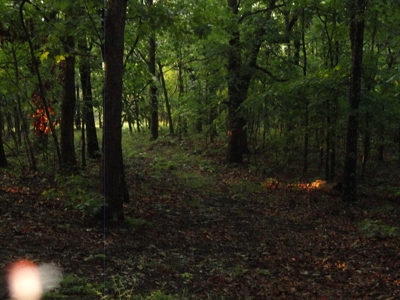 46.85 Acreage For Sale In Camden County, Missouri - image 20