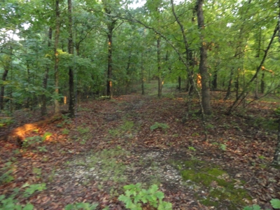 46.85 Acreage For Sale In Camden County, Missouri - image 26