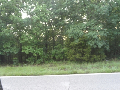 46.85 Acreage For Sale In Camden County, Missouri - image 35