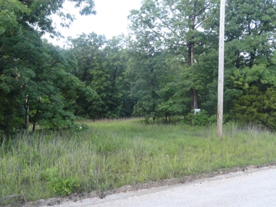 46.85 Acreage For Sale In Camden County, Missouri - image 7
