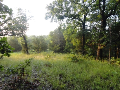 46.85 Acreage For Sale In Camden County, Missouri - image 23