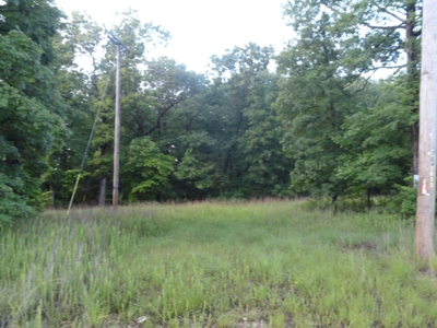 46.85 Acreage For Sale In Camden County, Missouri - image 8