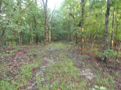 46.85 Acreage For Sale In Camden County, Missouri - image 25