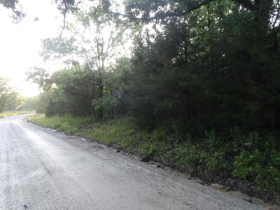 46.85 Acreage For Sale In Camden County, Missouri - image 3