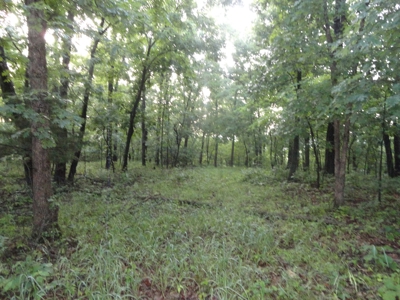 46.85 Acreage For Sale In Camden County, Missouri - image 29