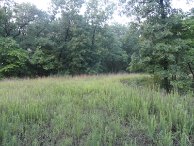46.85 Acreage For Sale In Camden County, Missouri - image 30