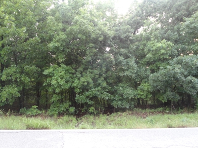 46.85 Acreage For Sale In Camden County, Missouri - image 34