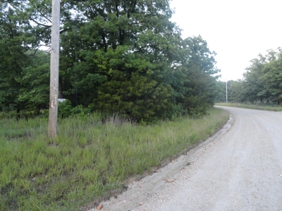 46.85 Acreage For Sale In Camden County, Missouri - image 32