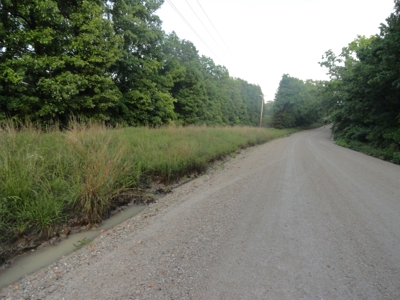 46.85 Acreage For Sale In Camden County, Missouri - image 6
