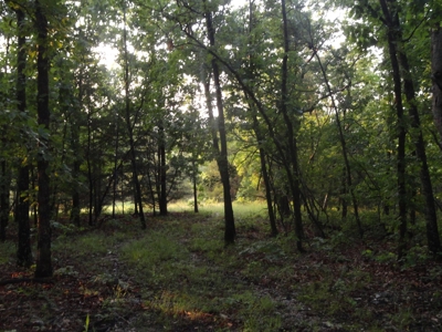 46.85 Acreage For Sale In Camden County, Missouri - image 21
