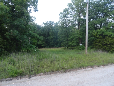 46.85 Acreage For Sale In Camden County, Missouri - image 33