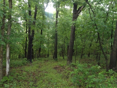 46.85 Acreage For Sale In Camden County, Missouri - image 10