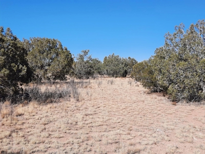 Norther AZ off grid 20 acre parcel available - image 11