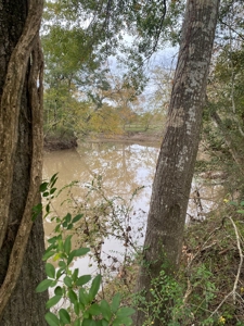 3 Lafayette Parish Lots for Sale - Maurice, LA - image 1