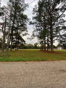 3 Lafayette Parish Lots for Sale - Maurice, LA - image 9