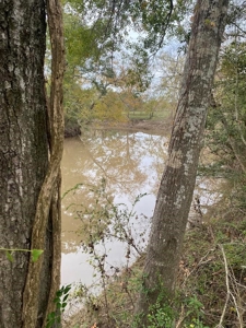 3 Lafayette Parish Lots for Sale - Maurice, LA - image 2