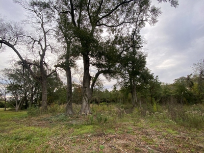 3 Lafayette Parish Lots for Sale - Maurice, LA - image 7