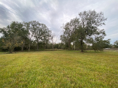 3 Lafayette Parish Lots for Sale - Maurice, LA - image 10